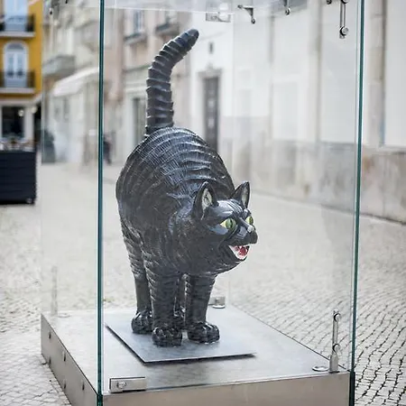 Διαμέρισμα The Black Kitten