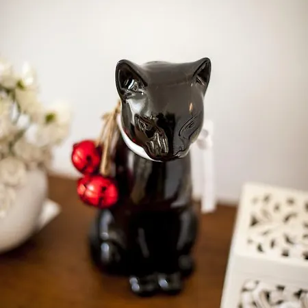 The Black Kitten Διαμέρισμα *